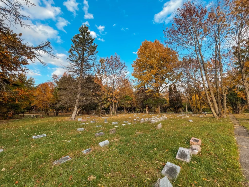 Dozens of grave stones at brown pet cemetery on a fall day