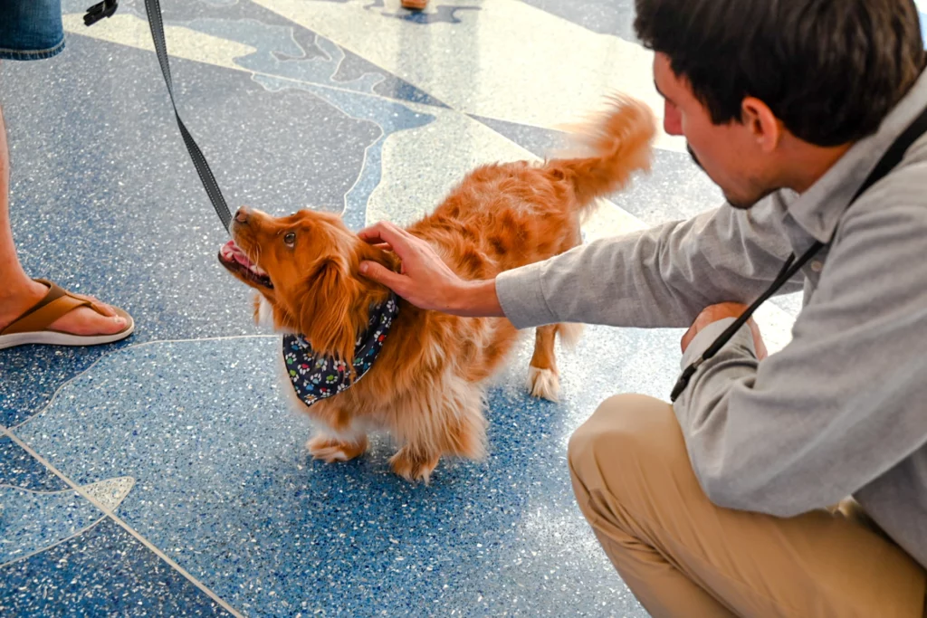 A man at John Glenn International Airport petting a Paw Force One therapy dog on a leash.