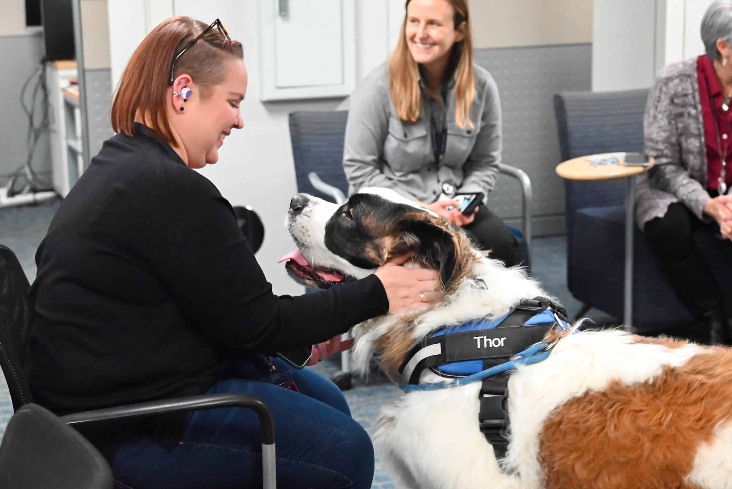 Paw Force One Therapy Dog Thor