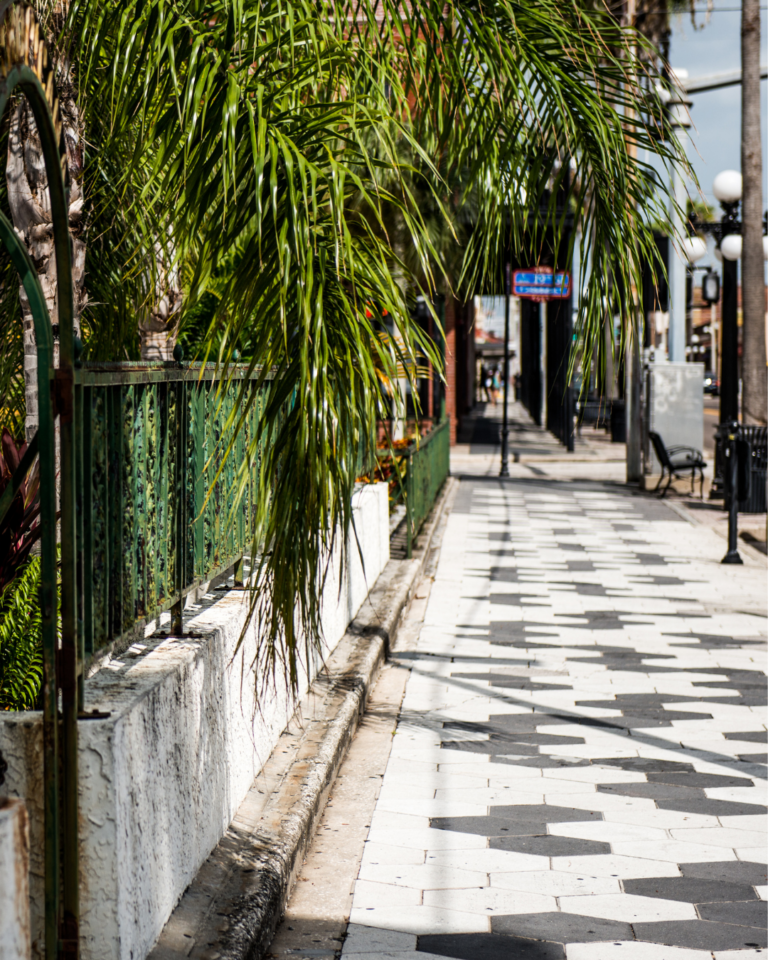 A checkered sidewalk in Tampa, Florida with palm trees lining the side.