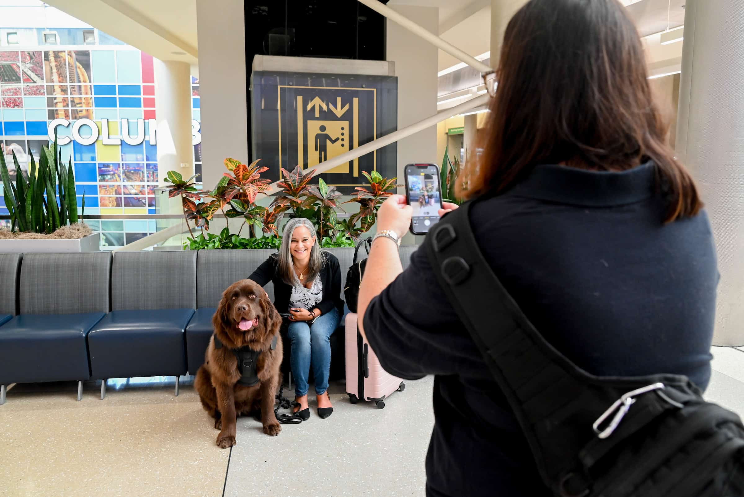 Winnie, a newfoundland dog, sits next to a passenger who is sitting along a blue coach in an airport terminal. Winnie's handler is standing in front of them, taking a photo.