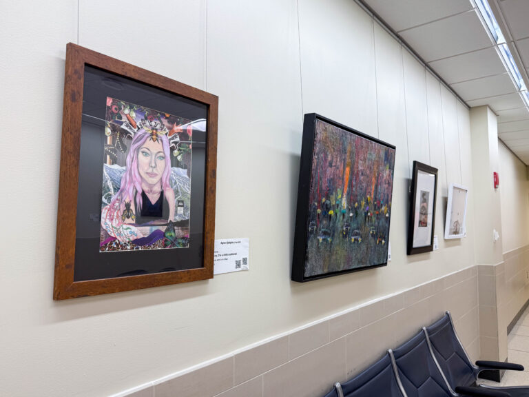 Several framed pieces of art hang in a well-lit hallway with seating below. The foreground artwork features a portrait of a woman with pink hair surrounded by butterflies and nature imagery, titled Wings by Agnes Quigley.